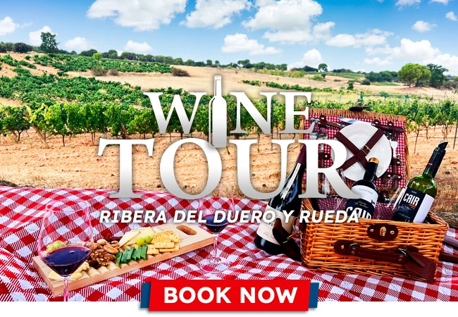 Ribera Del Duero And Rueda White & Red Wine Route