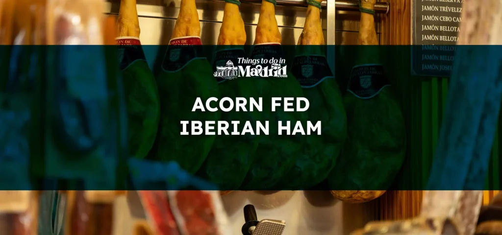 acorn-fed-iberian-ham