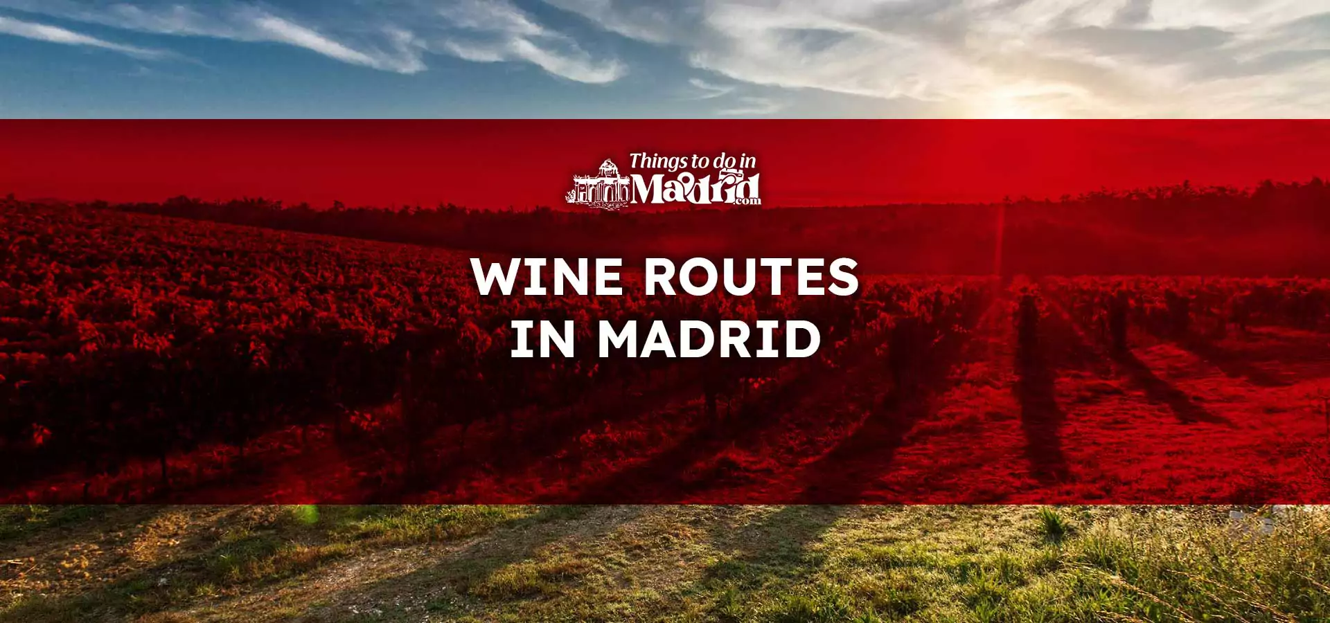 madrid-rutas-del-vino​